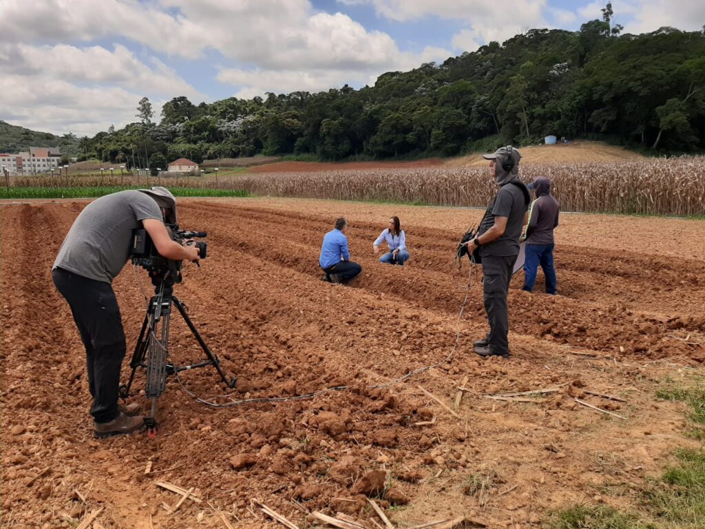 Saiba como entrar em contato com o Globo Rural pelo WhatsApp, Globo Rural